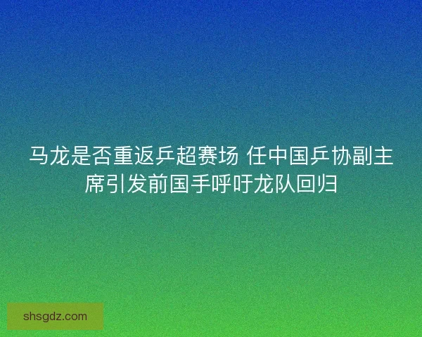 马龙是否重返乒超赛场 任中国乒协副主席引发前国手呼吁龙队回归